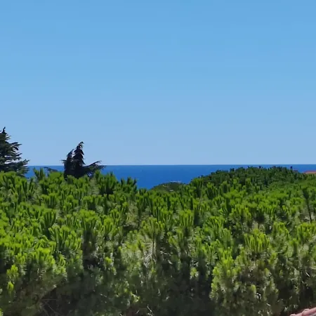 Casa Buena Vista 아파트 보르디게라