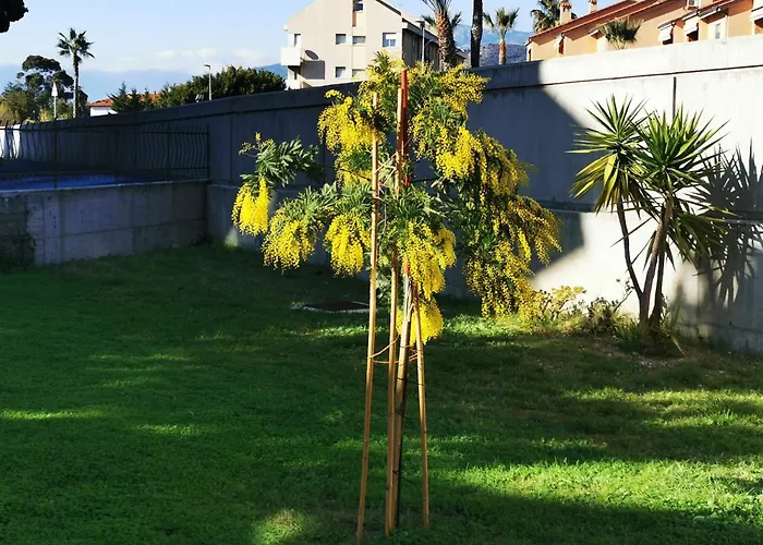 Casa Buena Vista * Bordighera