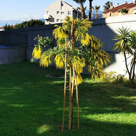 Casa Buena Vista * Bordighera